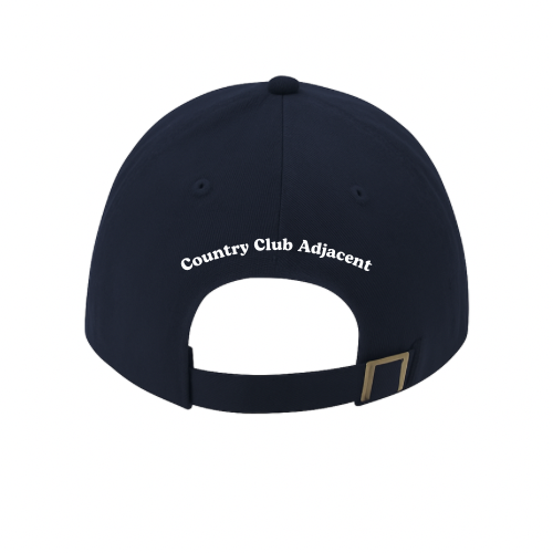 Shlepping Dad Hat